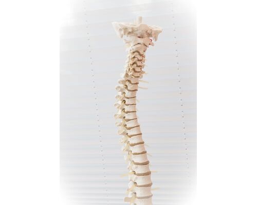 spine-disc-move-lumbar-disc-herniation