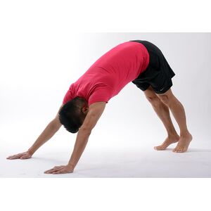 balance-body-exercise-fitness