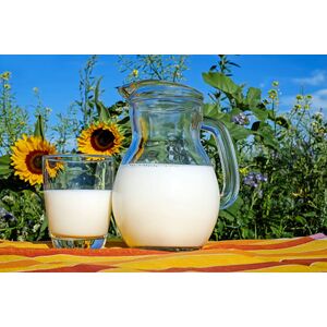milk-glass-frisch-healthy