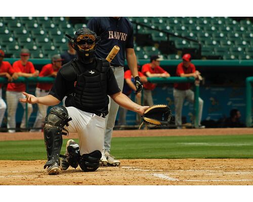 baseball-catcher-adult-baseball (1)