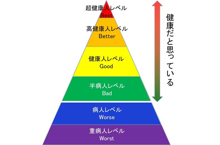 健康レベル