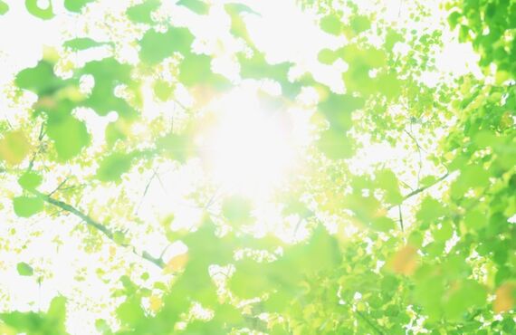 （吹田）痛みの原因を明らかにして元から改善する専門家｜Beyond the frame